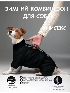 Зимний комбинезон для собак с ручками Dogmoda DOGMODA 208184302 купить за 2 160 ₽ в интернет-магазине Wildberries