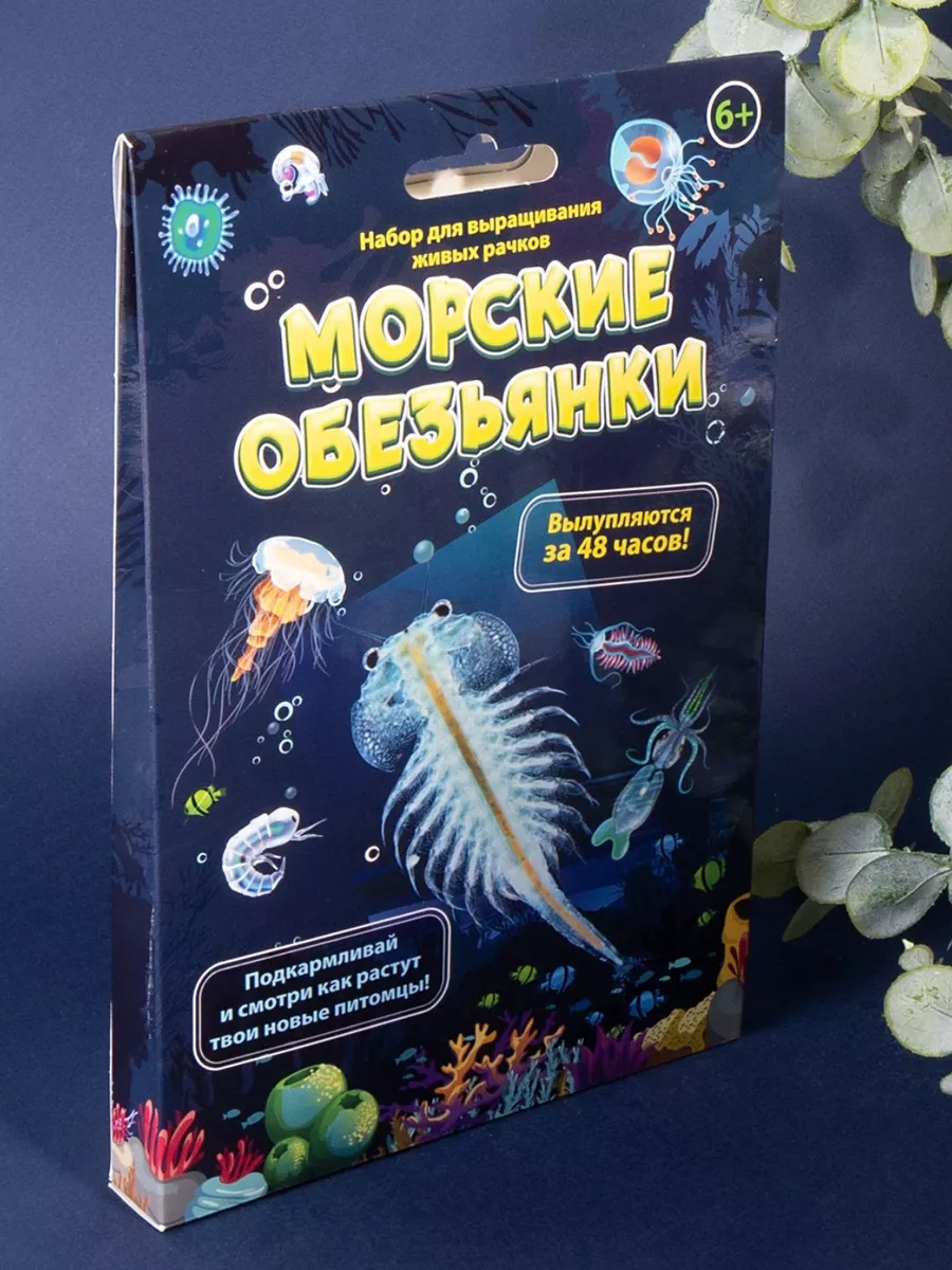Набор для выращивания живых рачков Морские обезьянки