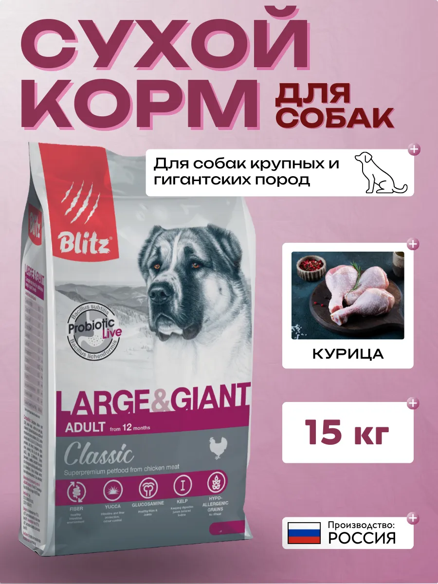 Блитс корм. Блитс корм