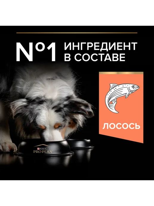 Сухой корм PRO PLAN Кожи Шерсти для собак, средние, лосось, 7 кг, фото 5