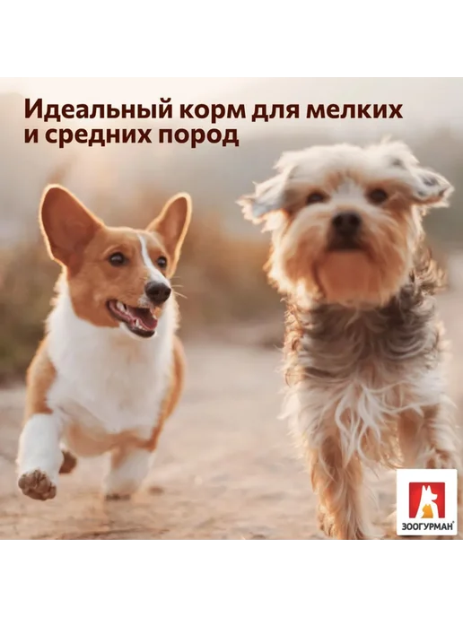 Сухой корм ЗООГУРМАН Urban Life для собак, мелкие, средние, индейка, 10 кг, фото 7