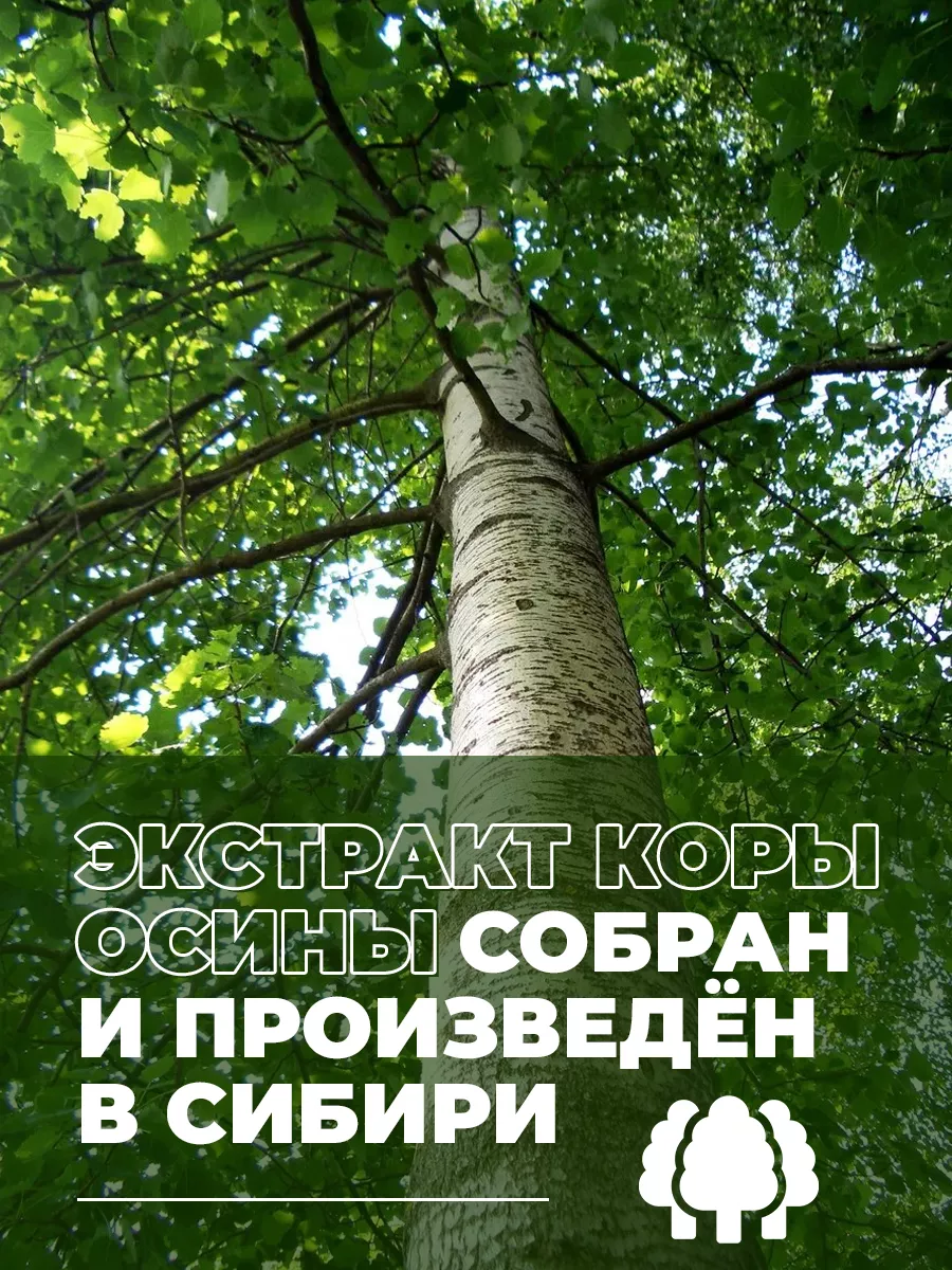 Экстракт коры осины густой 500 гр ДикоМаркет 208519635 купить за 1 687 ₽ в  интернет-магазине Wildberries