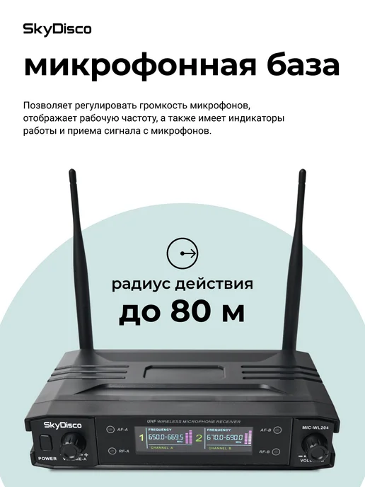 SkyDisco Комплект караоке для дома Home Set 2, черный, фото 5