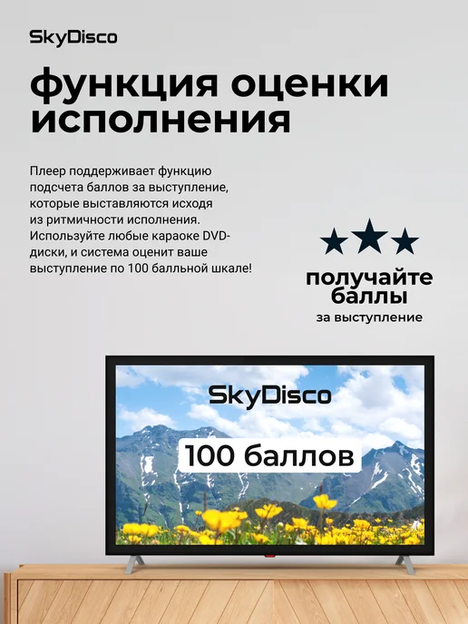 SkyDisco Комплект караоке для дома Home Set 2, черный, фото 8