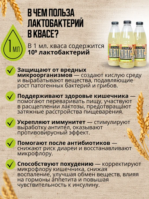 Доктор Щинов Квас Щинова белый с лактобактериями для кишечника, 3 шт, 3 шт, фото 3