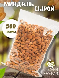 Миндаль сырой 500 грамм Nut.fruit 208559698 купить за 626 ₽ в интернет-магазине Wildberries