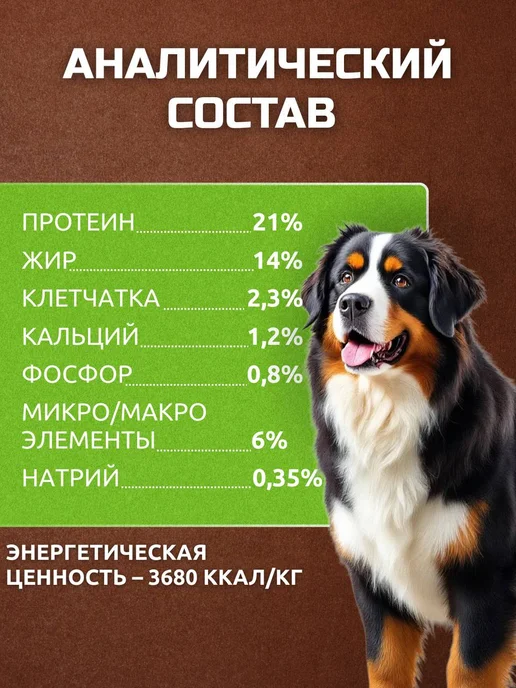Сухой корм Bisko Биско Регуляр для собак, 10 кг, фото 4