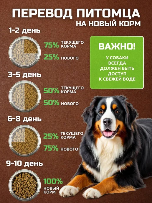 Сухой корм Bisko Биско Регуляр для собак, 10 кг, фото 6