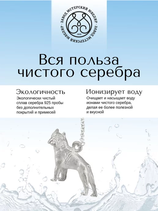 Мстерский ювелир Ионизатор воды серебро "Бульдог", серебристый, фото 3