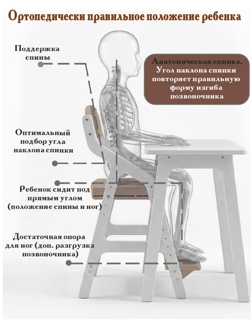 List Растущий стул "Школьник 2" лак, белый, фото 2