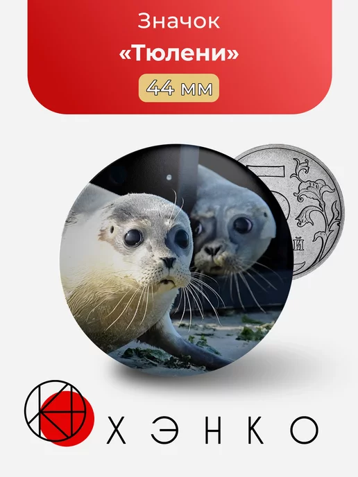 Тюлени