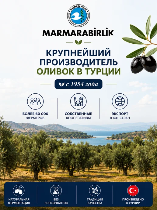 Маслины вяленые черные с косточкой MARMARABIRLIK 500 г, 500 г, фото 4