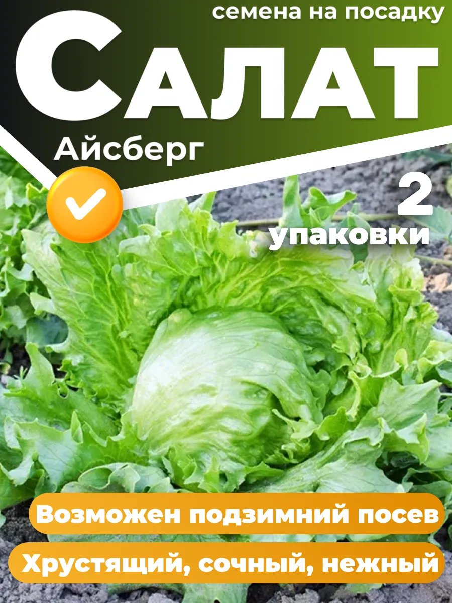 Салат айсберг семена 2 упаковки