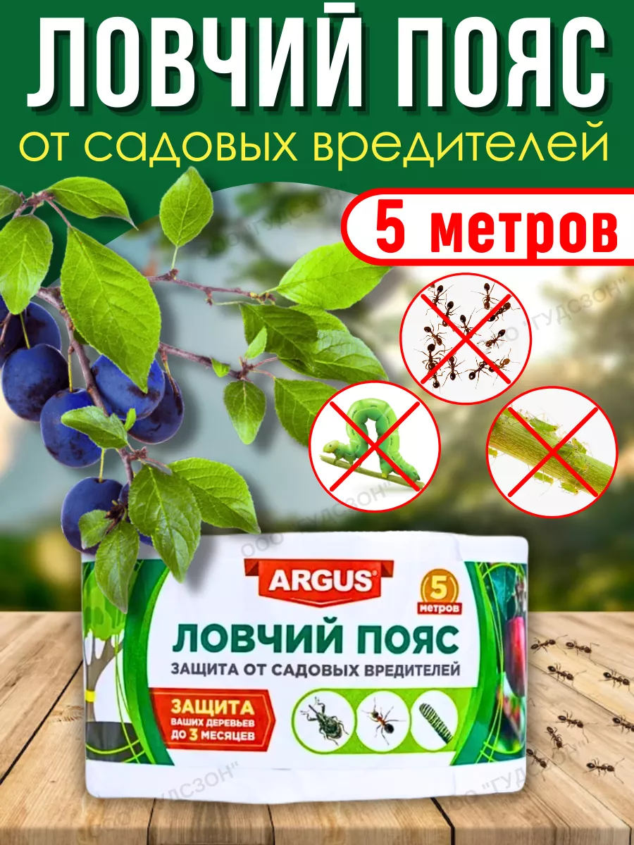 Ловчий пояс для деревьев от вредителей садовых и муравьёв