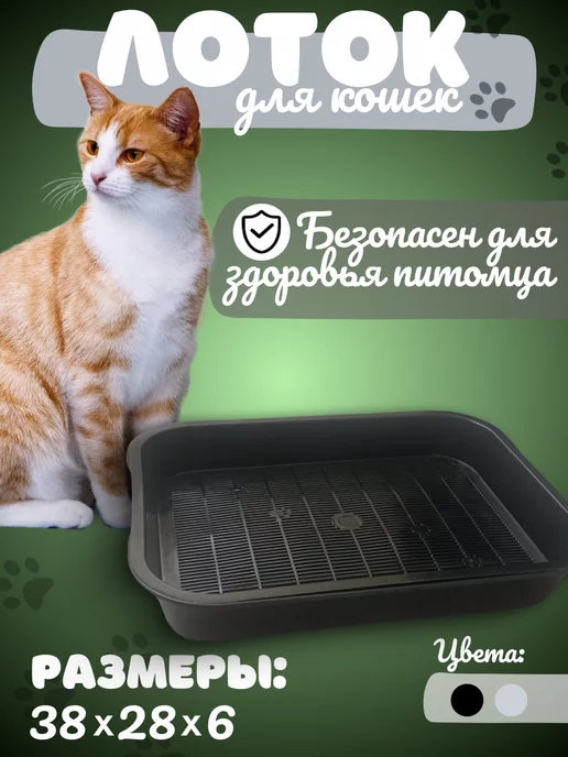 Wildberries — интернет-магазин модной одежды, обуви и аксессуаров