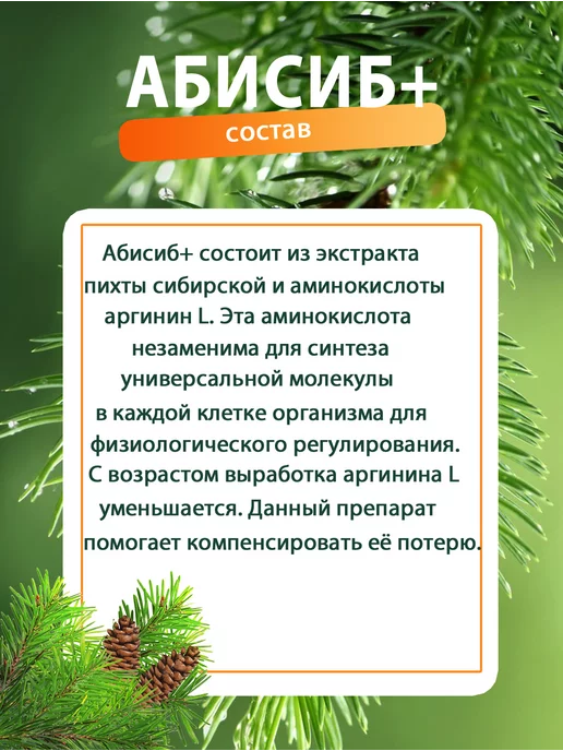 Абисиб Иммуномодулятор спрей иммунитет, 100 мл, фото 3