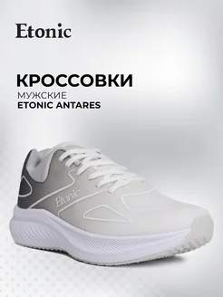 Кроссовки Antares Etonic 209122891 купить за 2 840 ₽ в интернет-магазине Wildberries