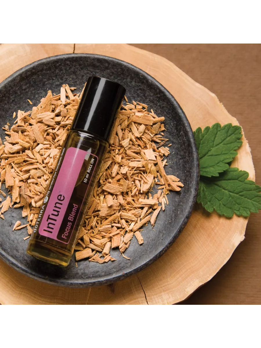 Doterra focus blend discount