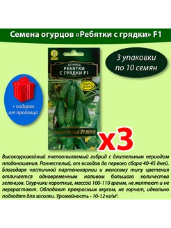 Семена Огурец Ребятки с грядки F1 10г среднеранний *3уп Аэлита 209180342 купить за 164 ₽ в интернет-магазине Wildberries