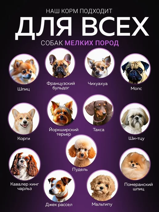 Сухой корм BUDDY DINNER для собак, мелкие, индейка, 0,07 кг, фото 3