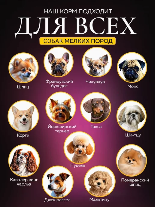 Сухой корм BUDDY DINNER для собак, мелкие, лосось, 0,07 кг, фото 4