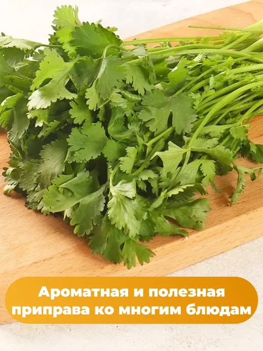 Агрофирма АЭЛИТА Лук на зелень 6 упаковок, вариант, фото 4