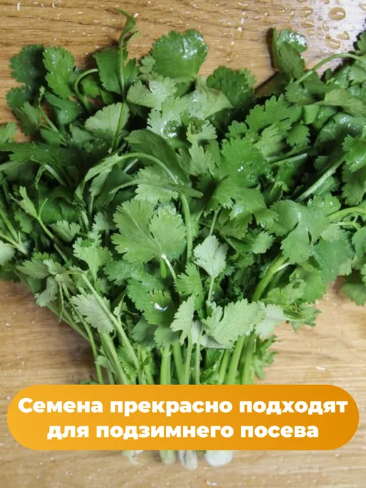Агрофирма АЭЛИТА Лук на зелень 6 упаковок, вариант, фото 5