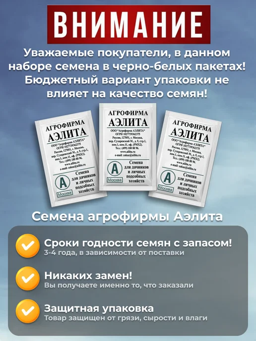 Агрофирма АЭЛИТА Лук на зелень 6 упаковок, вариант, фото 7