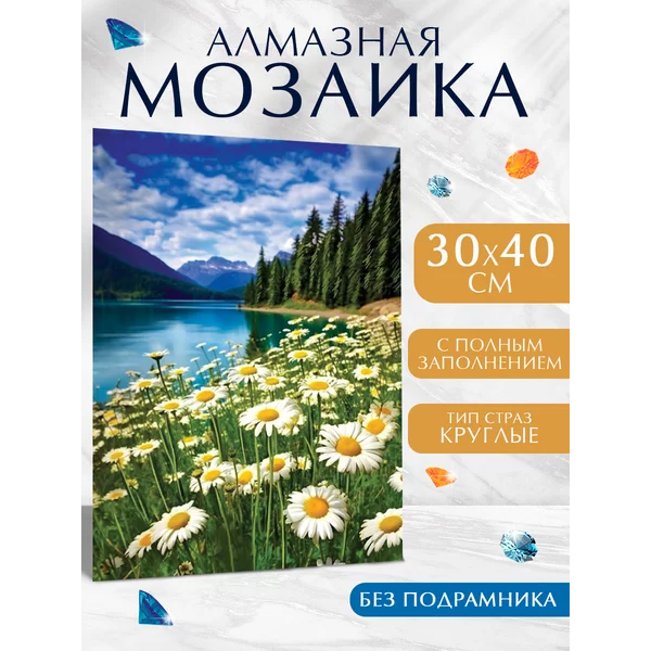 Алмазная мозаика "Ромашковое поле", 30*40 см, на холсте
