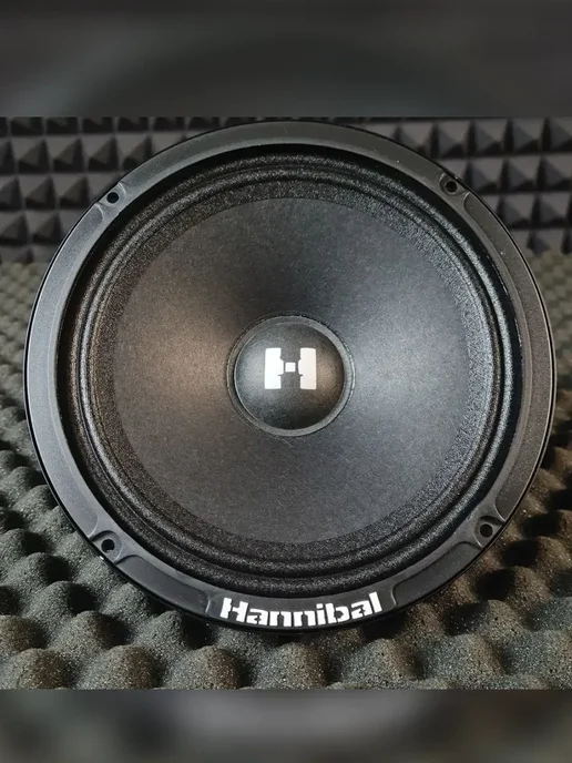 DEAF BONCE Колонки в машину Alphard Hannibal HM-6E 16,5 см, вариант, фото 3