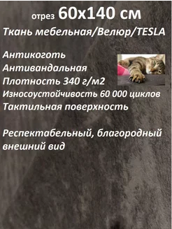 Ткань мебельная Антикоготь TESLA 60х140 см 100KOVROV 209322596 купить за 371 ₽ в интернет-магазине Wildberries