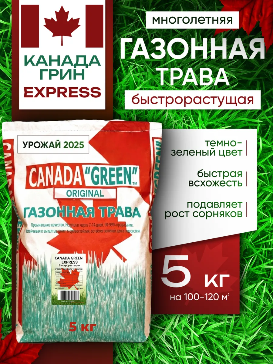 Газонная трава многолетняя Быстрорастущий 5кг Express
