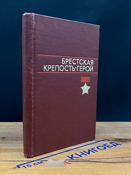 Стройиздат Брестская крепость-герой