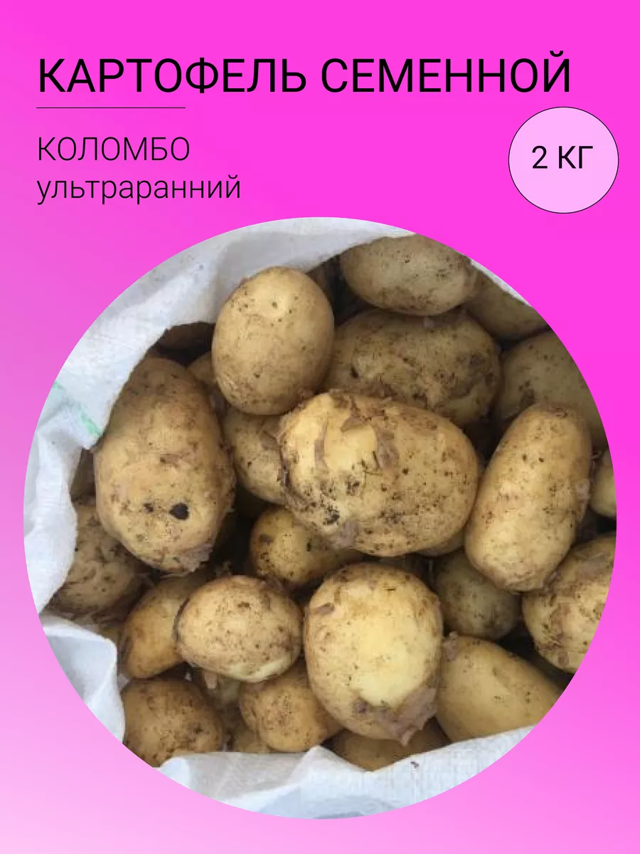 Преимущества и недостатки