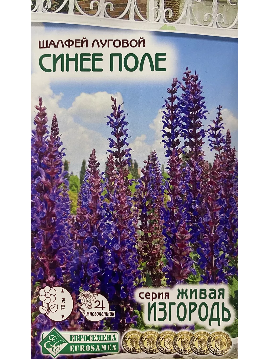 Шалфей Семенами Цена