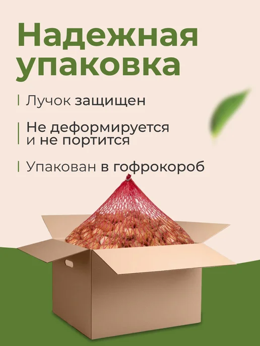ЭкоЛук Лук севок для посадки Трой 1 кг, 1 кг, фото 2