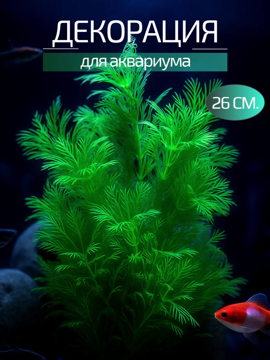 Декор для аквариума 26 см.