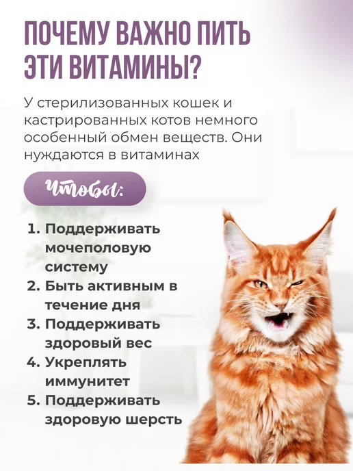 LAYTI Витамины для стерилизованных кошек и кастрированных 200, вариант, фото 2