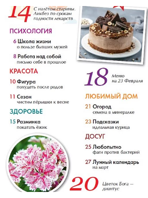 Домашний журнал Журнал. Здоровье, кулинария, психология, финансы. №4 24, вариант, фото 2