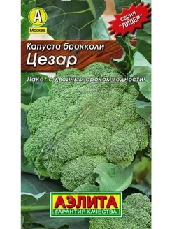 Капуста брокколи семена, сорт Цезар Селекционика 209783526 купить за 64 ₽ в интернет-магазине Wildberries