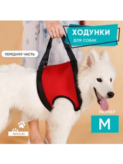 Ходунки для собак. Передняя часть, размер M. MPSALER 209826991 купить за 3 026 ₽ в интернет-магазине Wildberries