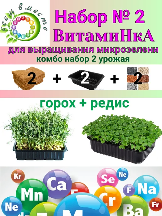 Сеем вместе Набор для выращивания микрозелени Витаминка № 3, № 2