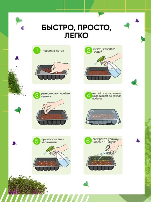 Сеем вместе Набор для выращивания микрозелени Витаминка № 3, № 2, фото 8