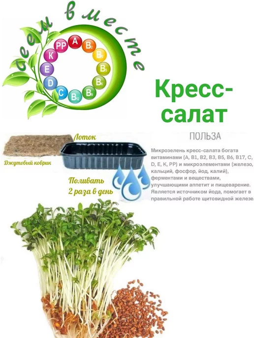 Сеем вместе Набор для выращивания микрозелени Витаминка № 1, 2 шт, фото 7