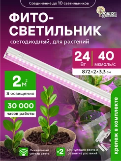 Интернет-магазин Wildberries: широкий ассортимент товаров - скидки каждый день!