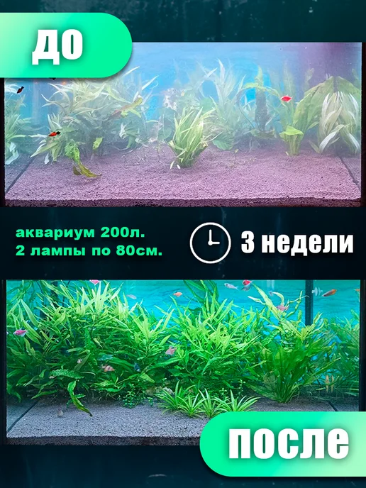 NaPoDaRi Лампа для аквариума светильник, голубой, фото 4