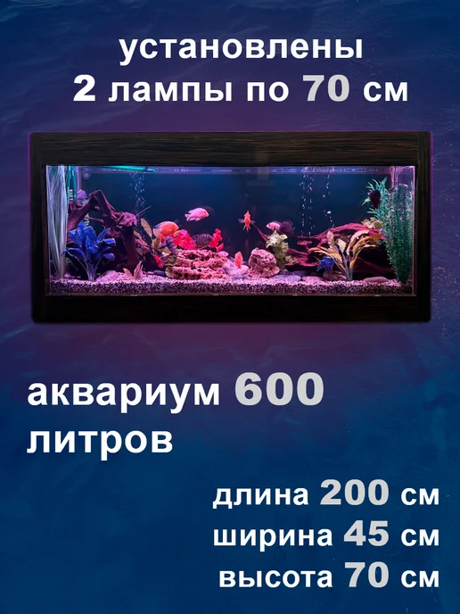 NaPoDaRi Лампа для аквариума светильник, голубой, фото 7