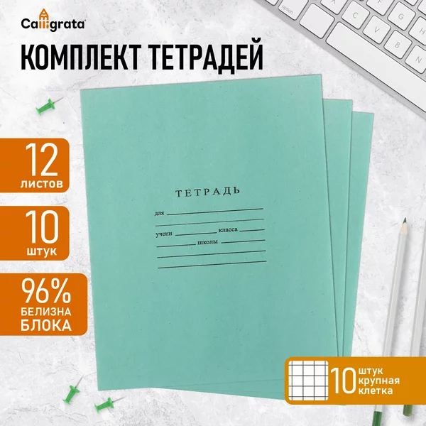 Комплект тетрадей 10 штук, 12 листов в крупную клетку
