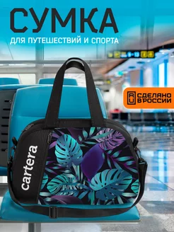 Сумка дорожная ручная кладь Cartera 210261822 купить за 1 413 ₽ в интернет-магазине Wildberries