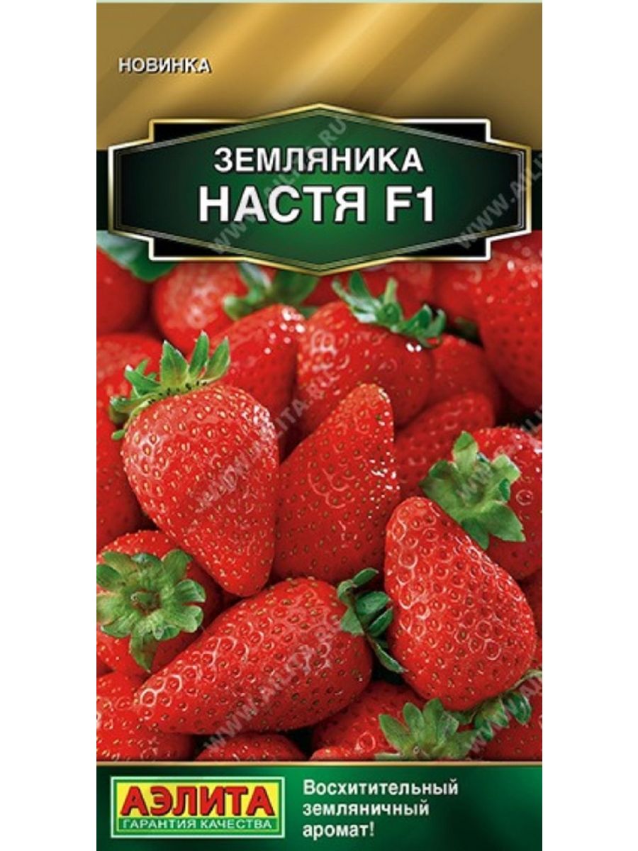 Семена клубники интернет магазин. Клубника Настенька. Земляника Катюша. Земляника гибридная. Семена Настя.